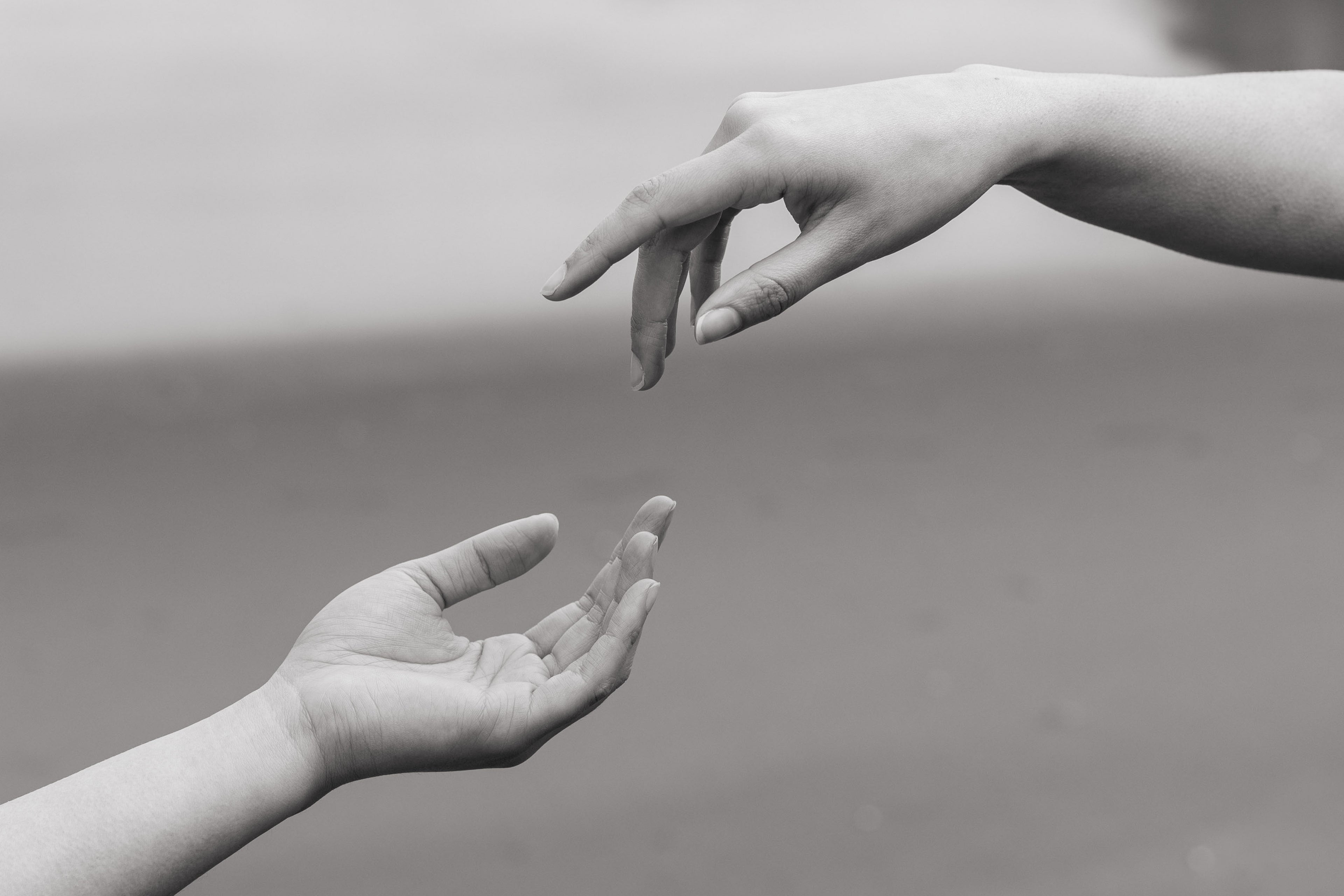 collection-banner-image